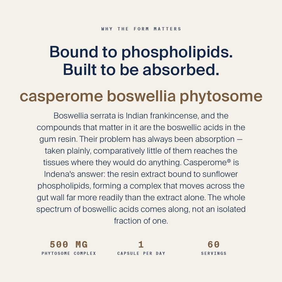 Boswellia Phytosome 500 mg — image 4