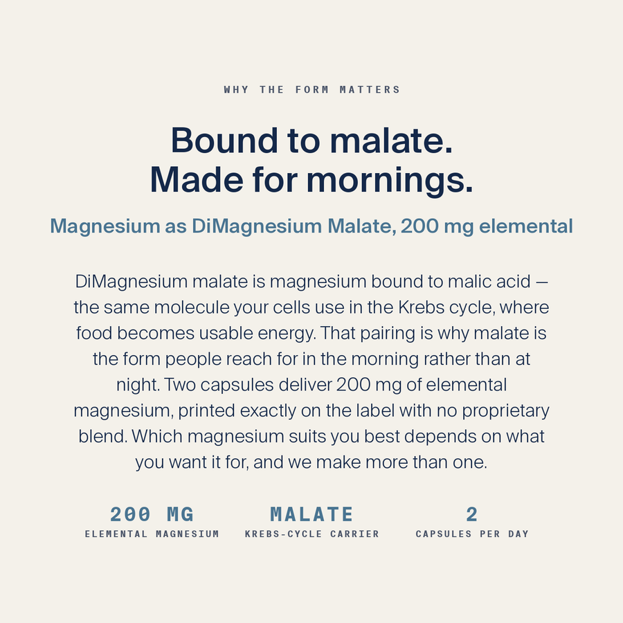 DiMagnesium Malate — image 4
