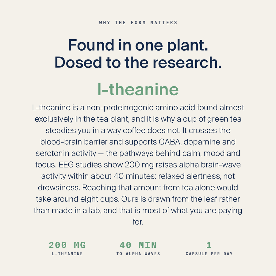 L-Theanine Calm — image 4