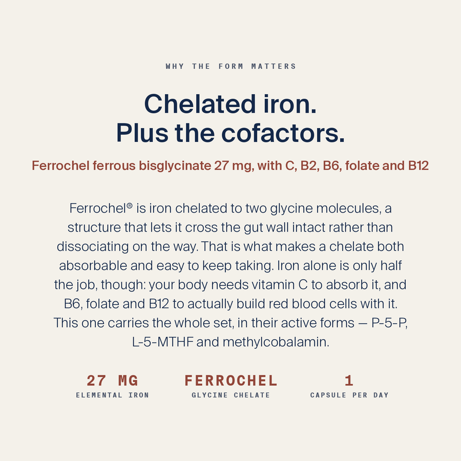 Iron Complex — image 4
