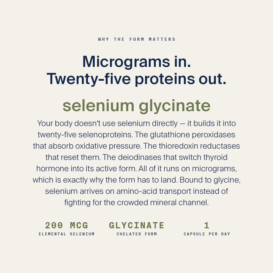 Selenium Glycinate — image 4