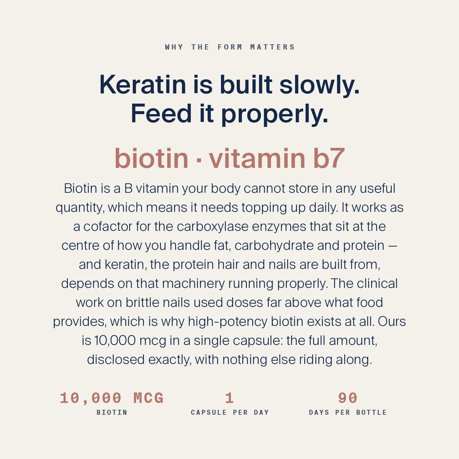 Biotin 10,000 mcg — image 4