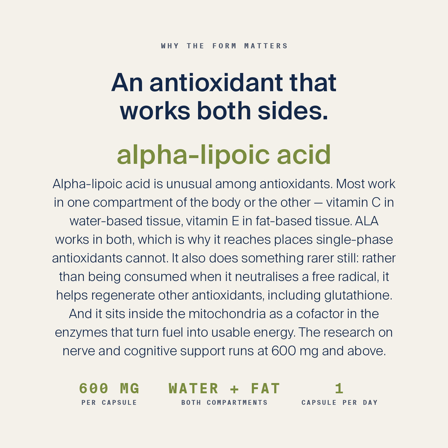 Alpha Lipoic Acid — image 4