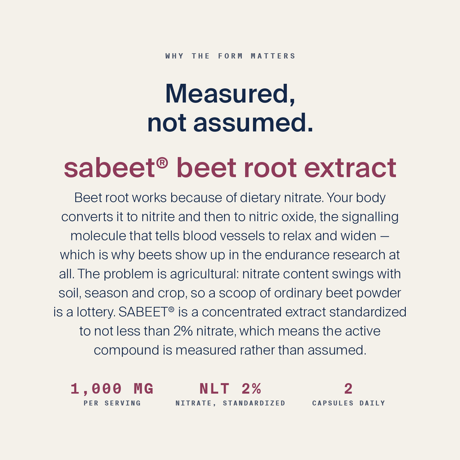 Beet Nitric Oxide — image 4