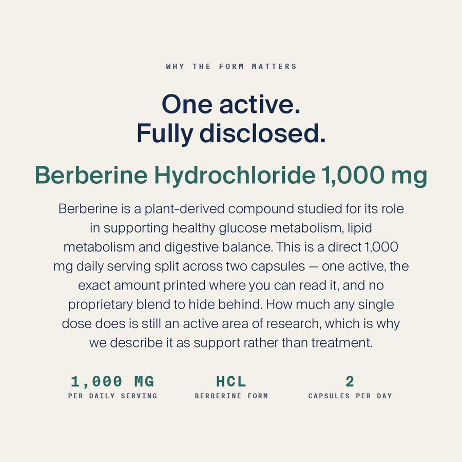 Berberine HCl — image 4