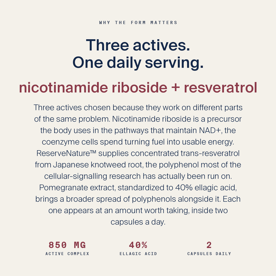 Resveratrol + NAD Complex — image 4